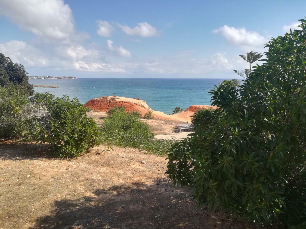 Apartament Cabo Roig Bellavista III Zewnętrze zdjęcie